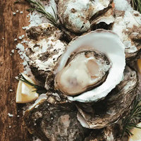 Oyster Peptides